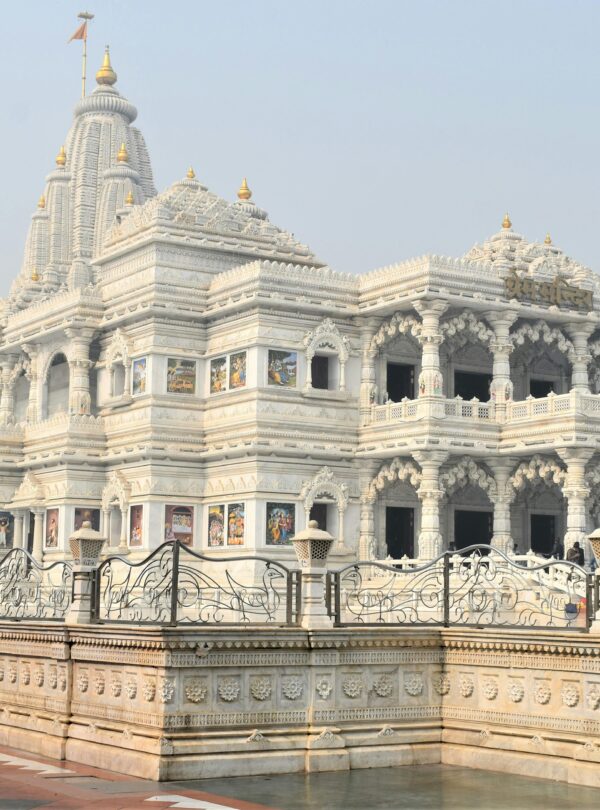 pexels-capture2805-12429847