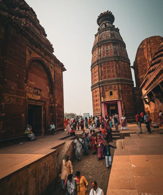 50195e19-50db-43a7-a334-60cbb67e2b98